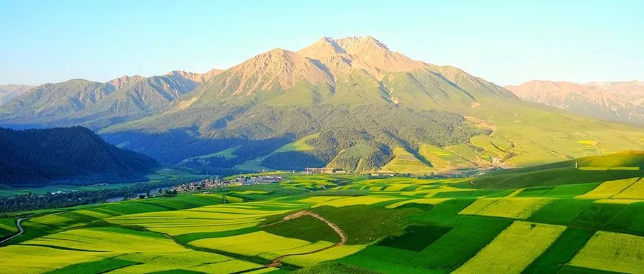 ¿·¢(ÖйúÇø)ÌìÉúÓ®¼ÒÒ»´¥¼´·¢