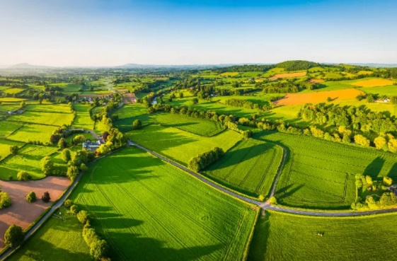 ¿·¢(ÖйúÇø)ÌìÉúÓ®¼ÒÒ»´¥¼´·¢